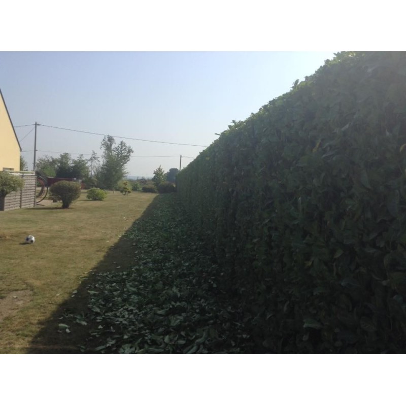 Taille haie SLANETRAC HC150