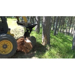 Vis à cône pour Fendeuse bois CASTORO