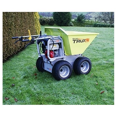 Pneu gazon pour mini dumper TRUXTA
