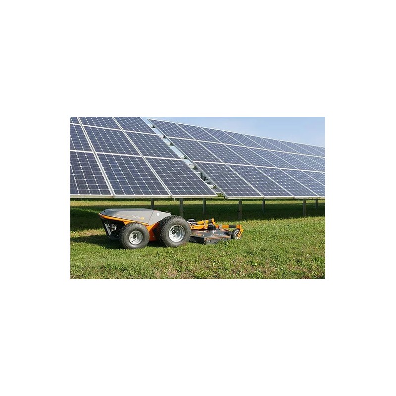 TONDEUSE RAYMO ÉLECTRIQUE