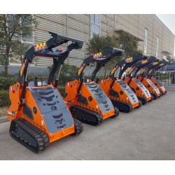 SV25H                                                           France compact